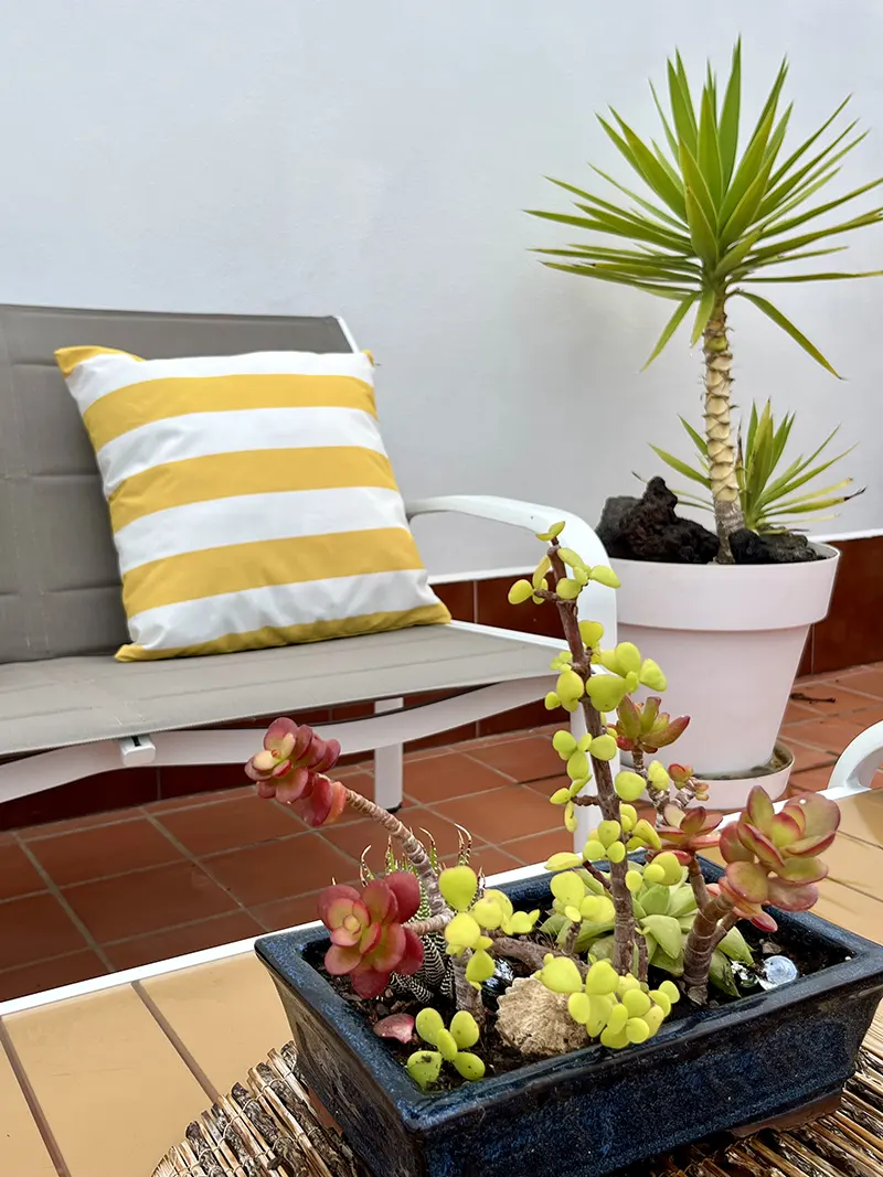 Apartamentos Los Verodes, hoteles y alojamientos en Frontera